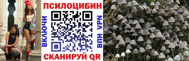Галлюциногенные грибы ЛСД  Белая Холуница 